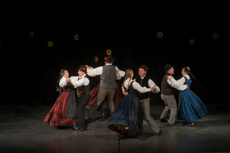 Maroltovo srečanje znova združilo koroške folklorne skupine (10)